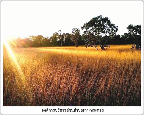 ภาพบรรยากาศเกาะพระทอง